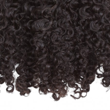 GENIUS CLIPS CURLY